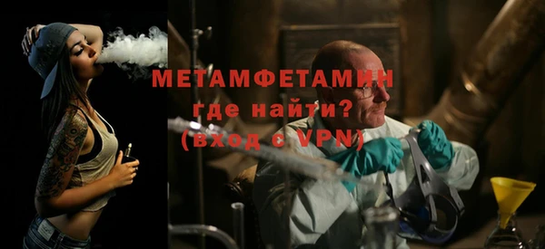 сатива Алзамай