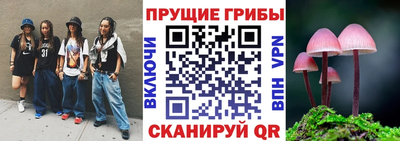 МЕГА вход Тверь Псилоцибиновые грибы прущие грибы продажа наркотиков